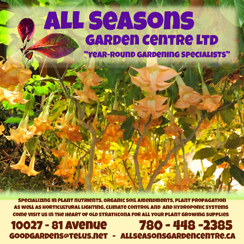 all season garden